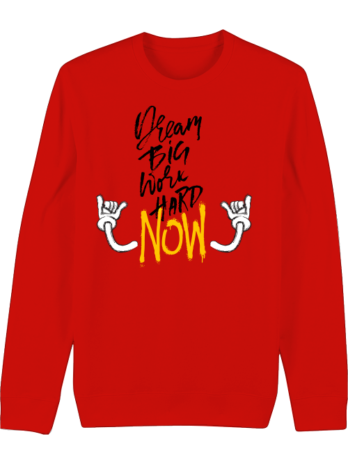 Premium Unisex Crew Neck Sweatshirt "Dream BIG"