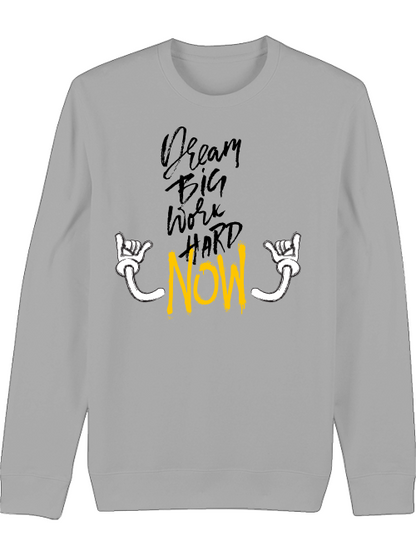 Premium Unisex Crew Neck Sweatshirt "Dream BIG"