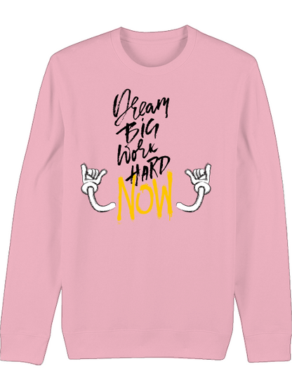 Premium Unisex Crew Neck Sweatshirt "Dream BIG"